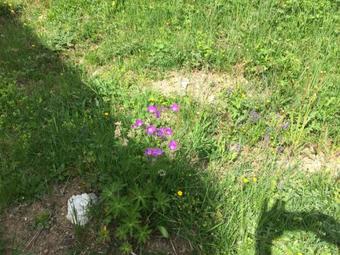 Apartamento Schneeflucht