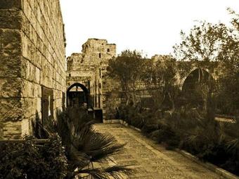 Hotel And Residence King George