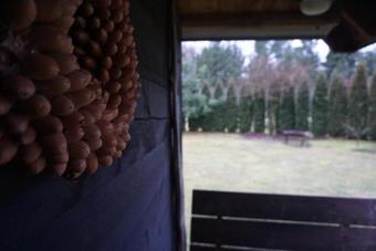 ??iperi - Ozolu M?ja