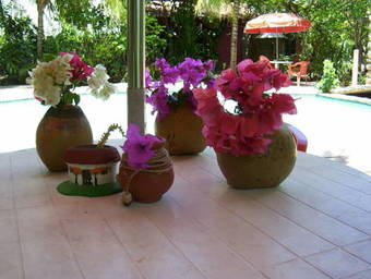 Hostal Posada El Jardin