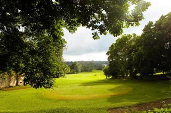 Hostal Cedar Lodge Jamaica