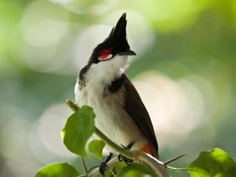 Terroir Des Baies Roses B&B