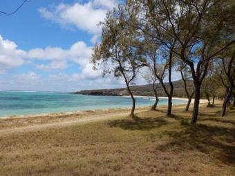 Hostal Merlin Guest House