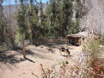 Lodge Casona Distante