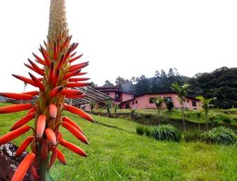 Hostal Pousada Aracema