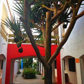 Hostal Pousada Icara�