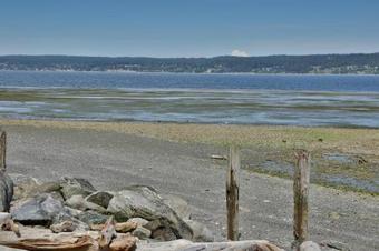 246 - The Lookout At Cranes Landing