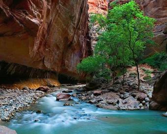 Zions View Camping