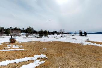 Moose Dance + Loon Song