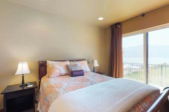 Vineyard Vista