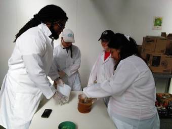 Lodge Buena Vista Del Rinc�n Eco Adventure Park Hotel & Spa