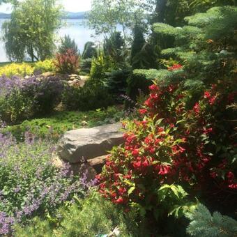 Acadia Ocean Front Garden Cottages