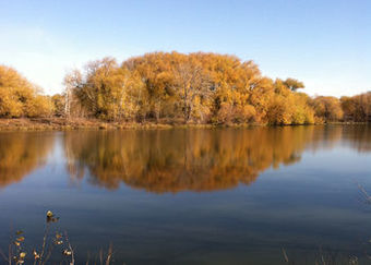 Motel Cedars Inn Ellensburg
