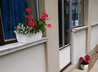 Hostal Autentik - Ba?ki Petrovac