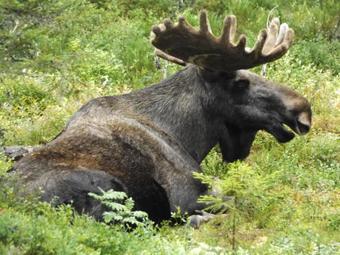 Bed & Breakfast Caf� Bistro Moccacino