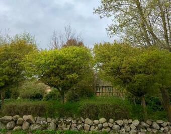 Bed & Breakfast Cilias Mat & Rum Killeg�rden P� Kivik