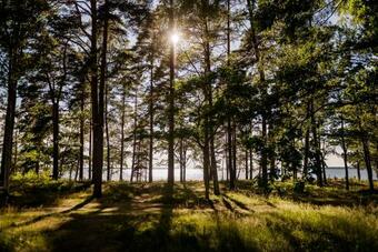 First Camp Ekudden-mariestad
