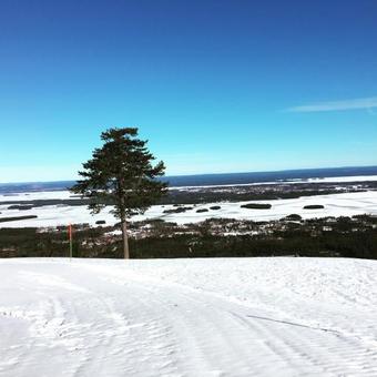 Gesundaberget Lodge & Stugby
