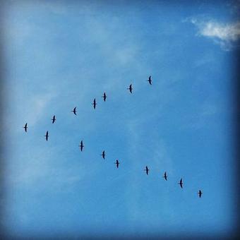 Bed & Breakfast Odensvi