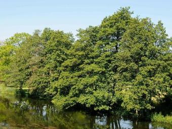 Three-bedroom Holiday Home In Ans By 3