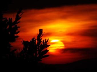 Agroturismo Borgo Bucciano