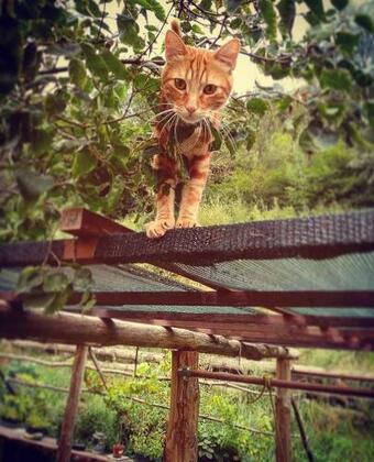 Bondine Apartments In Valle D'aosta