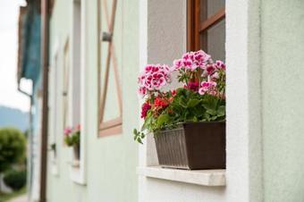 Hostal Guest House Tri Koruny