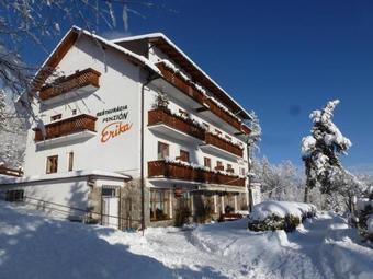 Hostal Erika Penzi�n