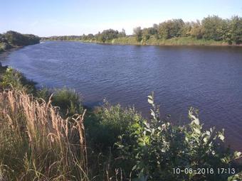 Albergue Baza Otdykha "kedrovyy Bor"