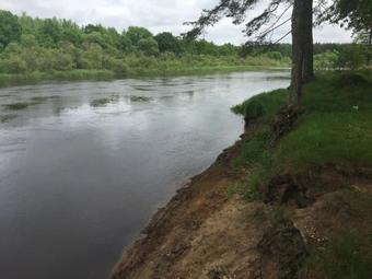 Agrousadba Berloga Hall