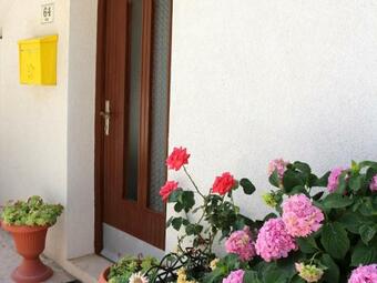 Hostal Apartment And Rooms Jt