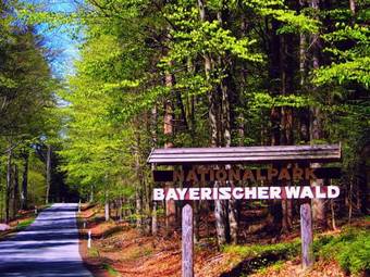 Bed & Breakfast Pension Salzs�umer