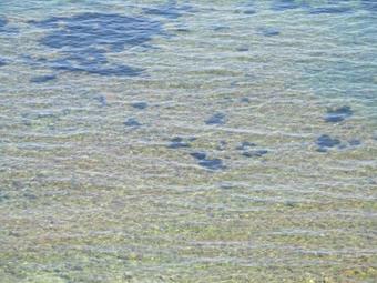 Apartamento Appartamento In Villa Pina