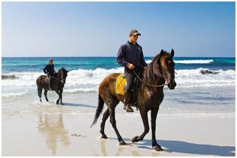 Hotel Rural Binigaus Vell