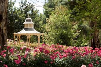 Hotel Lyndoch Hill