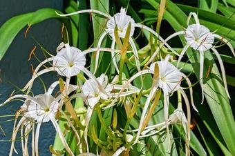 Hostal Blue Summit Hideaway