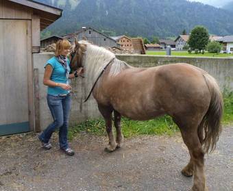 Apartamento Ferienbauernhof Moosbrugger
