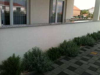 Apartments Marti