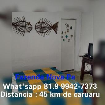 Hostal Hostel Pousada Em Fazenda Nova Dona Rosy