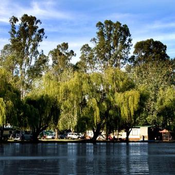 Cohuna Waterfront Holiday Park