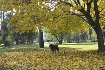 Goolwa Spa & River Retreat