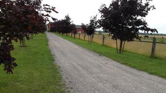 Huges Bed & Breakfast