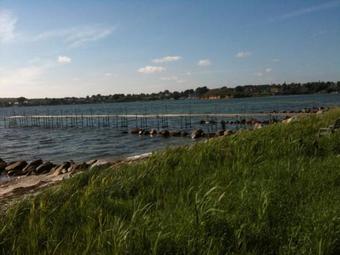 Grastenhus Bed & Breakfast