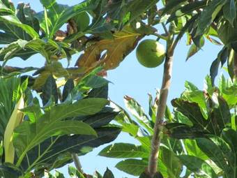 Hotel Domaine De Portland