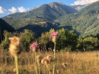 Pirineosnature Apartments San Juan De Plan