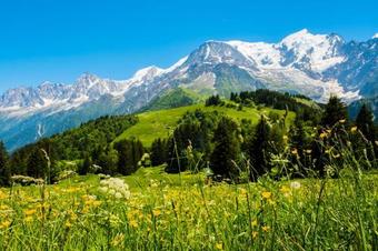 Apartamento Appartement 3 Pi�ces 6 Pers Pied Des Pistes 79846