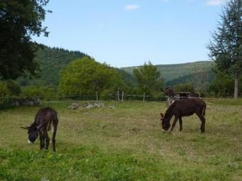 House G�te De Labou�che