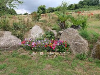 Constance, Bodmin