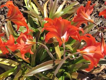 Hostal Casal Da Eira