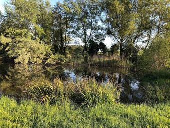 Bed & Breakfast Home Farm